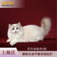 【阿闻上海】猫咪水油平衡高端洗护首次体验 猫2-5kg